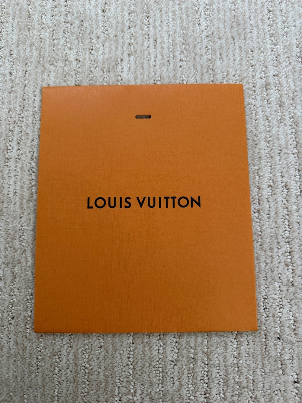 Louis Vuitton Authentic Orange Paper Document Sleeve